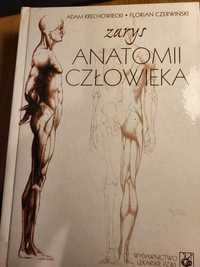 Zarys Anatomii Człowieka A. Krechowski, F. Czerwiński Wyd. VII PZWL