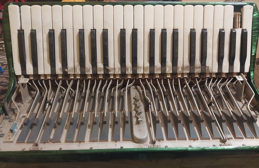 Akordeon Carmen 120 basów części