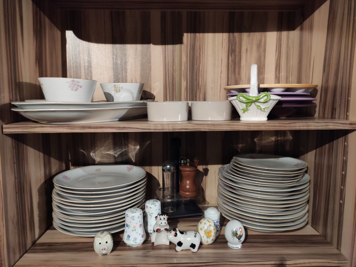 Zestaw obiadowy / ceramika / porcelana / talerze talerz wzór cebulowy