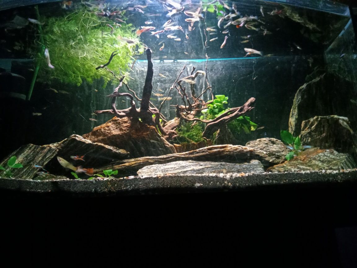 Akwarium  120L profil Full  Zestaw