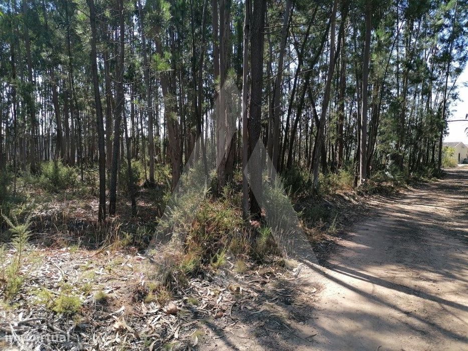 Terreno destinado a construção em Águeda