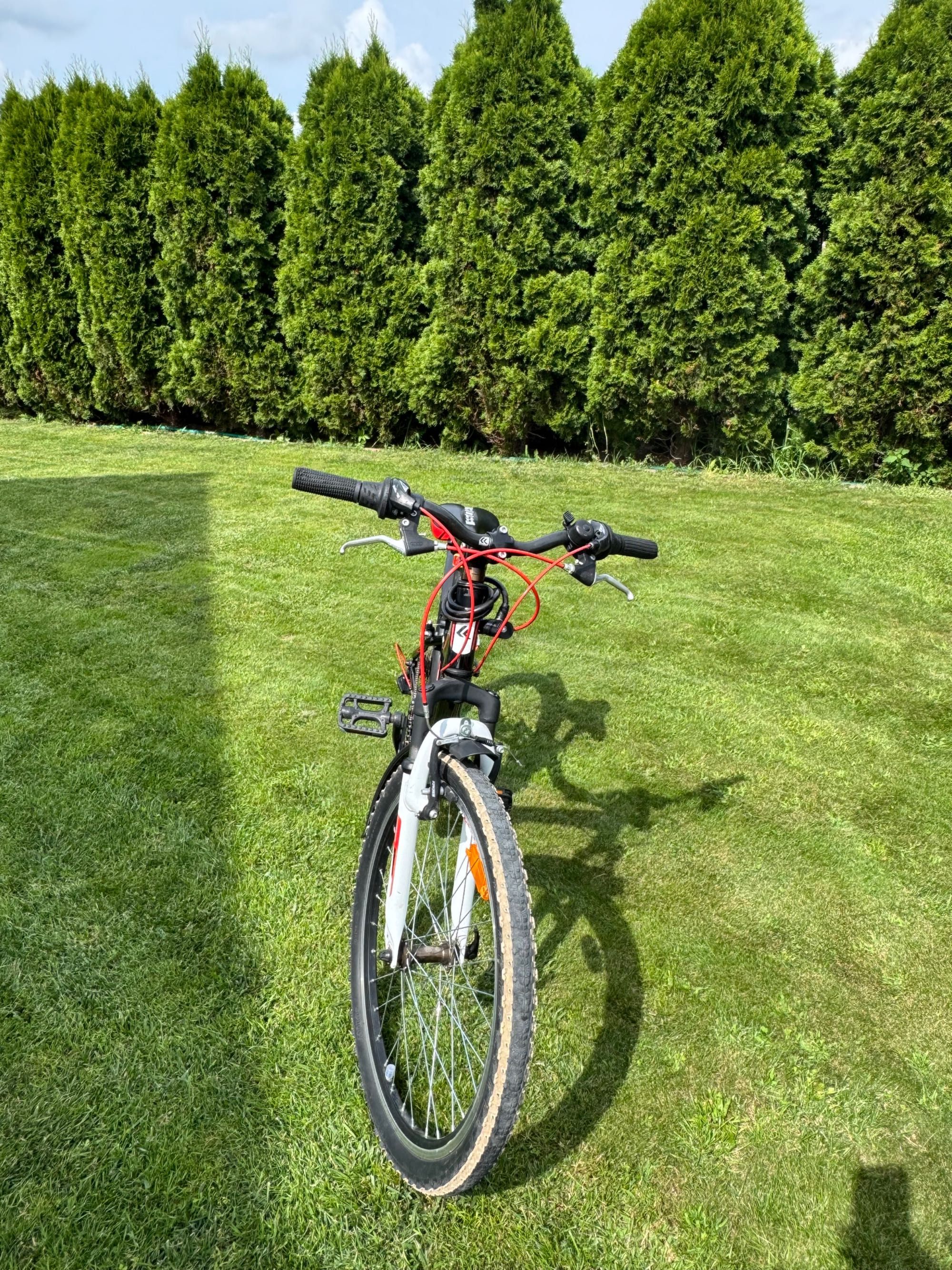 Rower Kross Hexagon Replica Junior