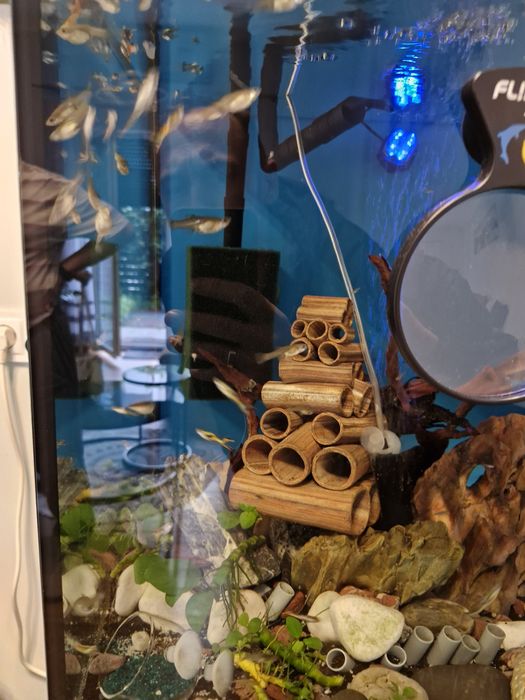 Akwarium 160 z szafką i wyposażeniem