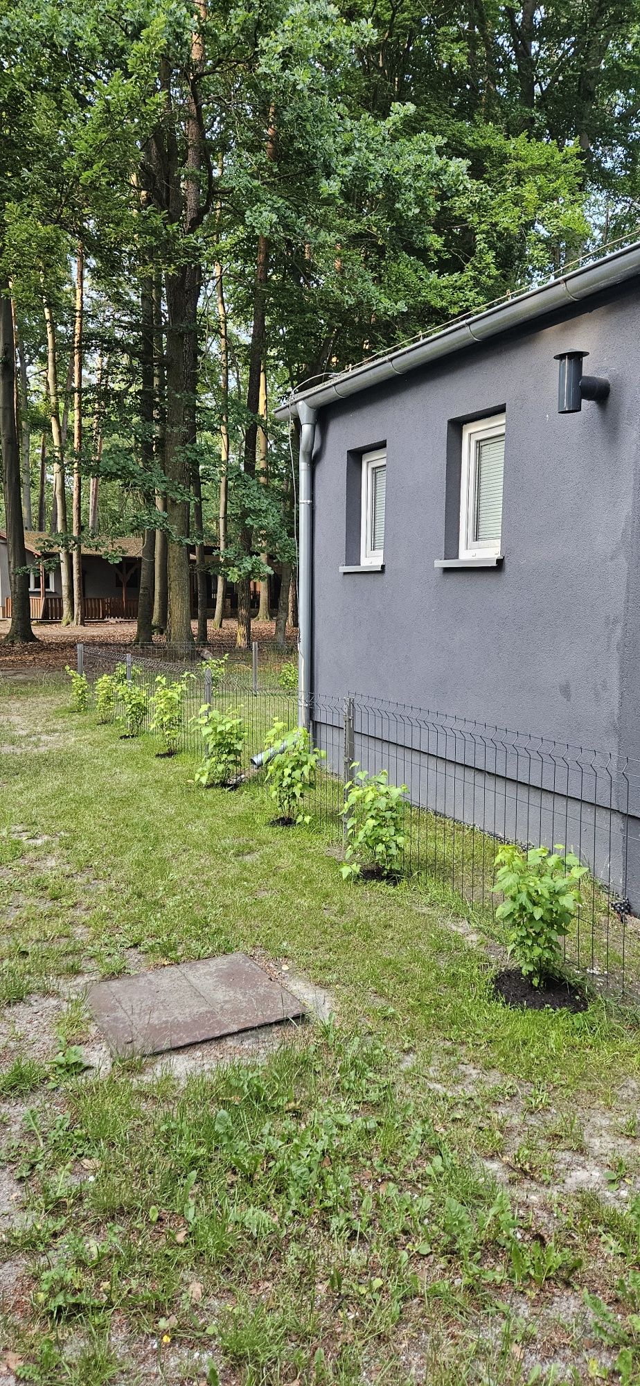 Od 20.08 Skorzęcin domek dwupokojowy, 4 osobowy