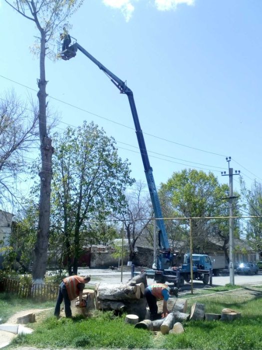 Спиливание деревьев аккуратно, вывоз веток