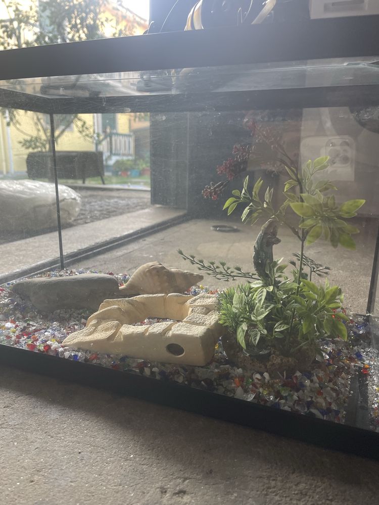 Aquario pequeno