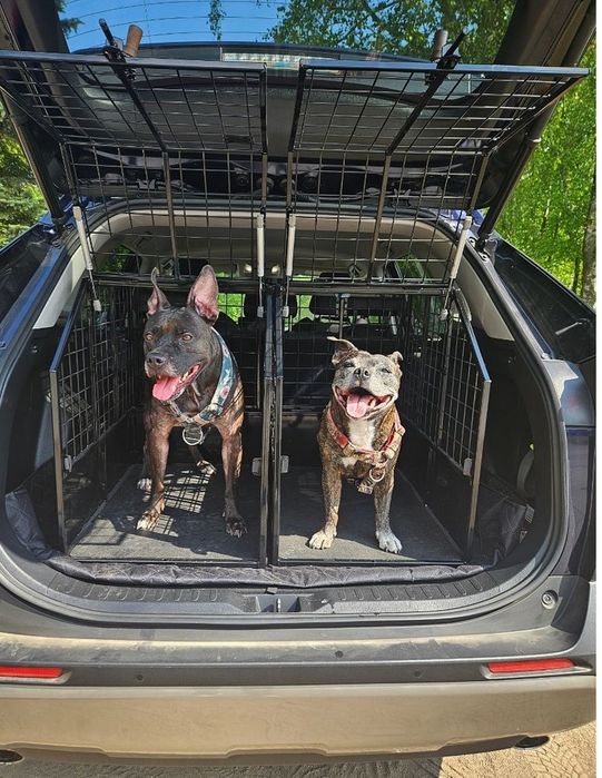 Klatka transportowa dla psa SteelDog