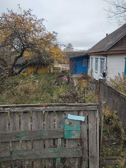 Будинок в селі Волошине, Коростенського району