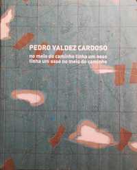 Livro - no meio do caminho tinha um osso... - Pedro Valdez Cardoso