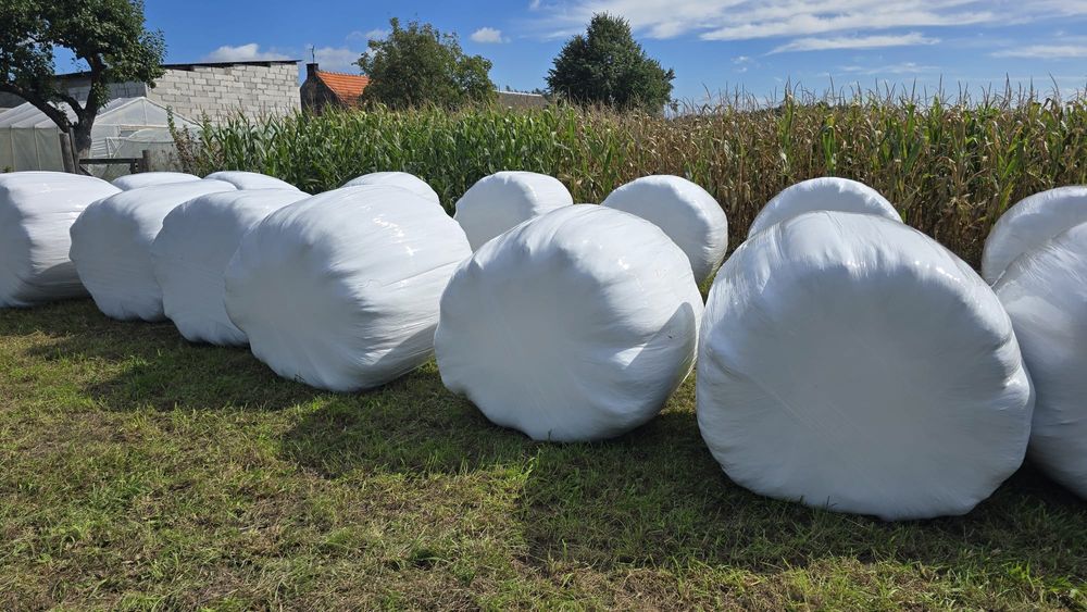 Sianokiszonka 2 potraw