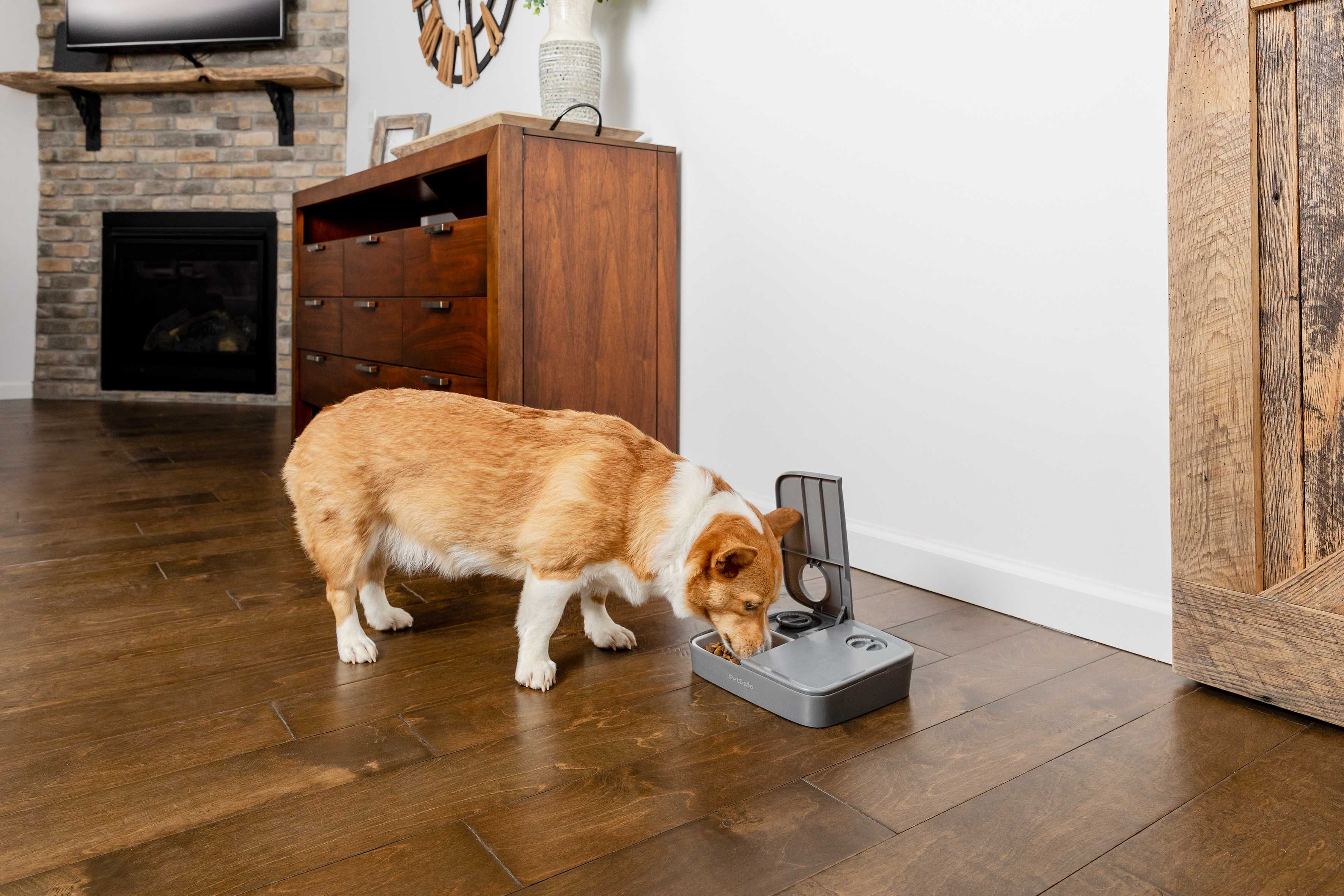 NOVO - Dispensador Automático ração Cão e Gato PETSAFE