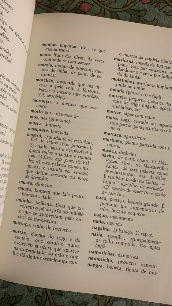 A. GOMES PEREIRA - O SÉCULO XIX NA LINGUAGEM POPULAR DOS CONCELHOS DE