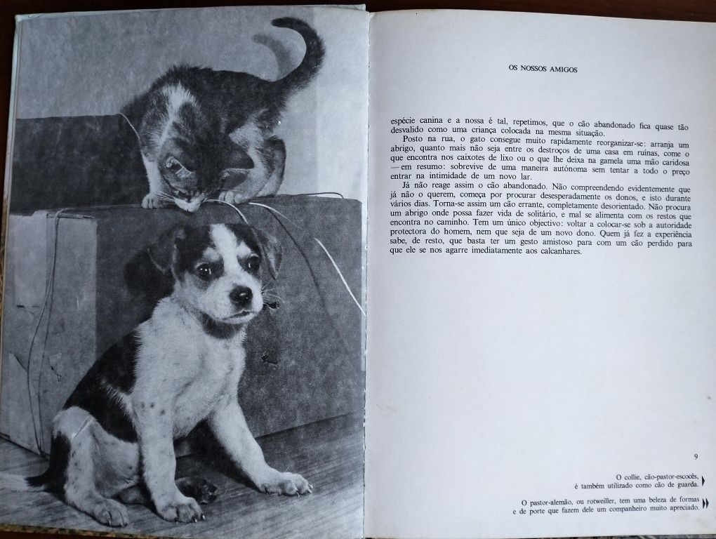 Livro O Mundo Maravilhoso dos Animais