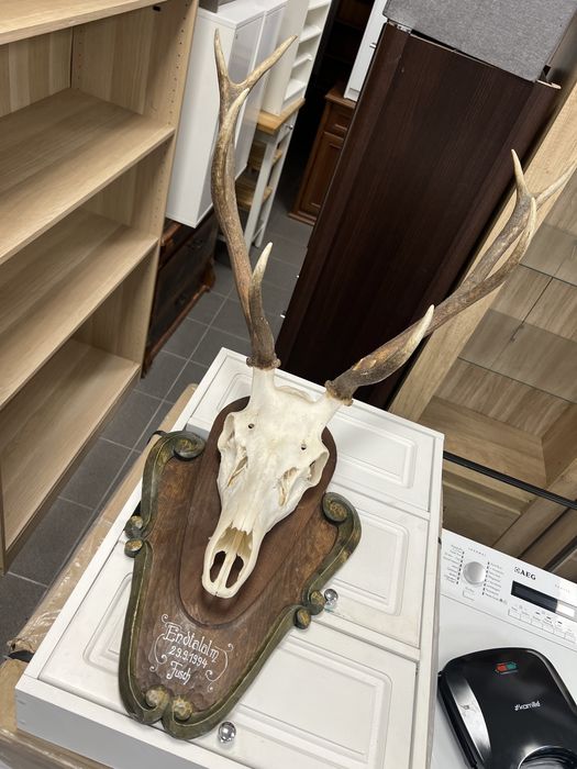 Poroże - możliwy transport