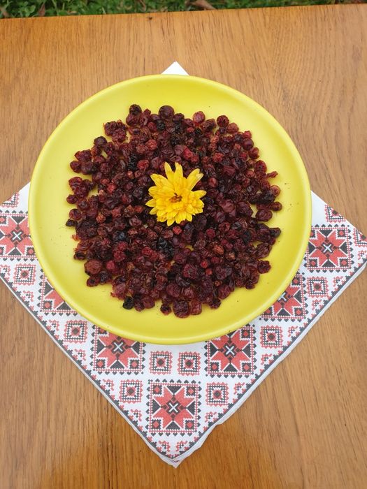 Брусниця карпатська свіжа з цукром ,сушена