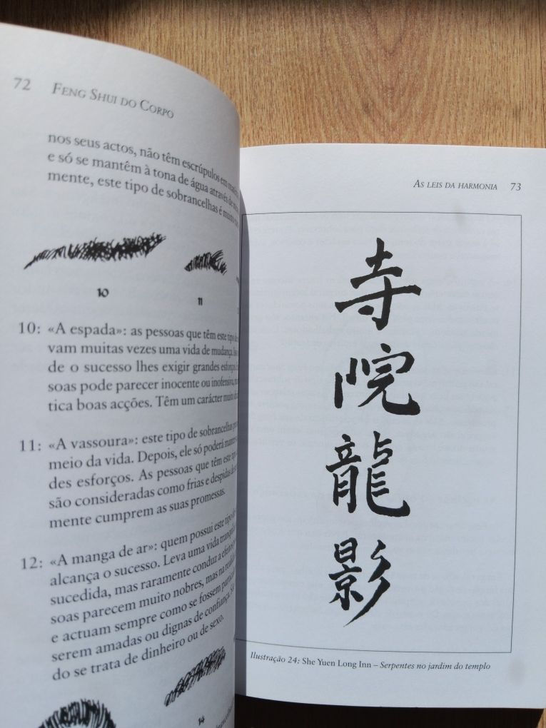 Feng Shui do Corpo, Chao-Hsiu Chen