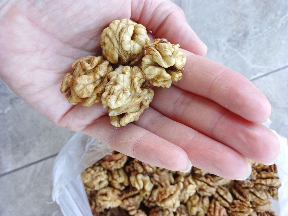 Волоські горіхи цільні очищені