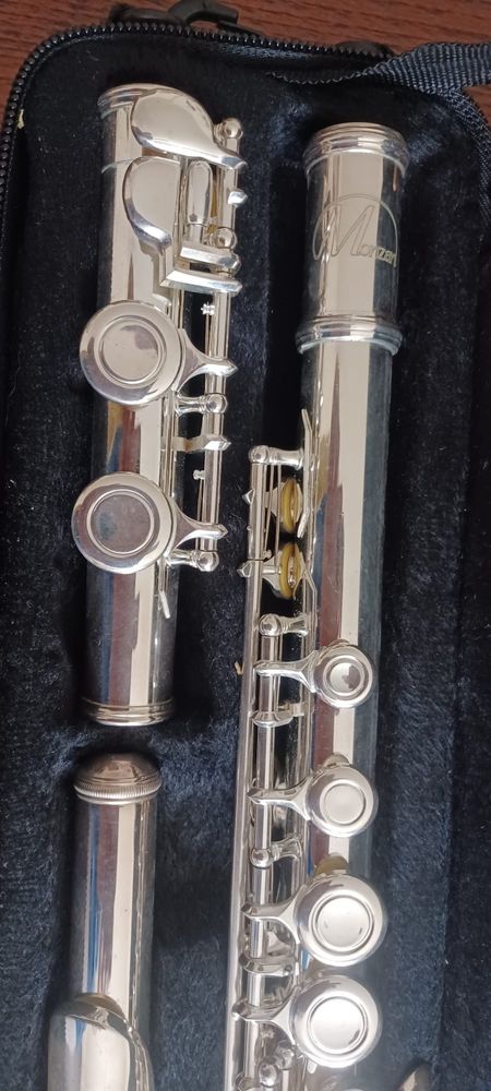 Vendo flauta transversal Monzani