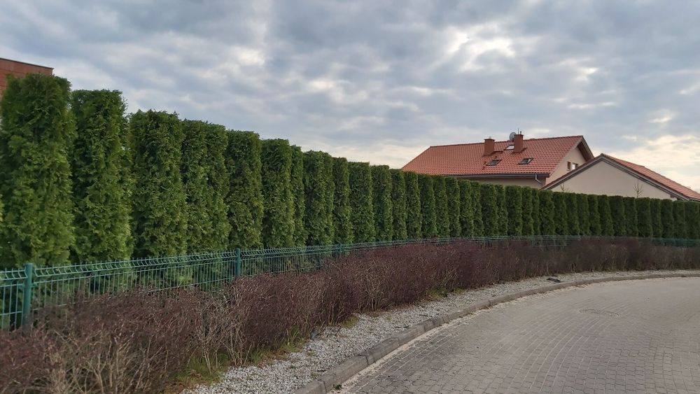 Pielęgnacja ogrodów, usługi ogrodnicze, prace ogrodowe, transport 3.5T