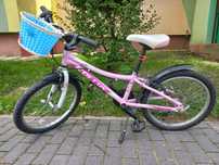 Rower kellys lumi