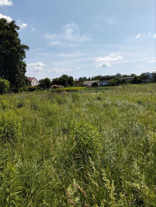 Ділянка в с. Вороньківка 18 соток