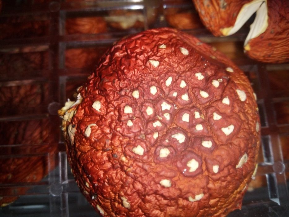 Продам Акустичну систему може працювати на блютуз .