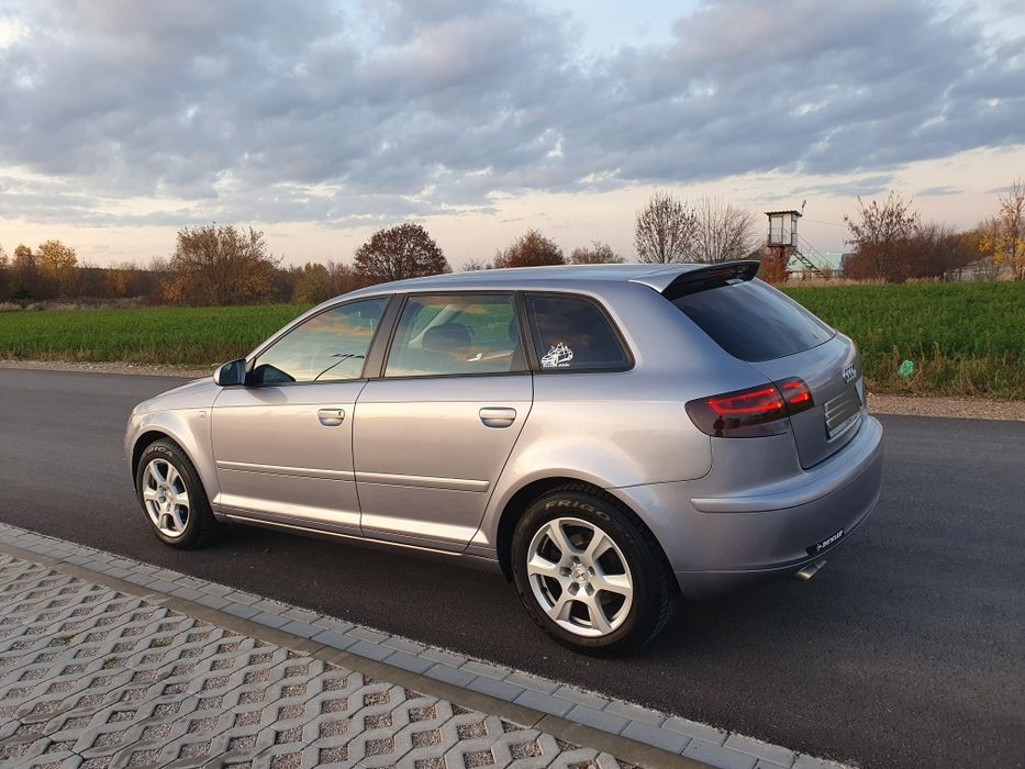 Audi A3 8P 2.0 TDI QUATTRO 200 KM 5 Drzwi