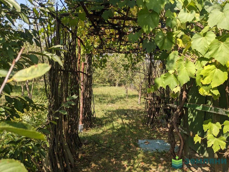 Продаж Дачі 5,01 сот в с.Вовчинець, СТ Агрохімік (5)