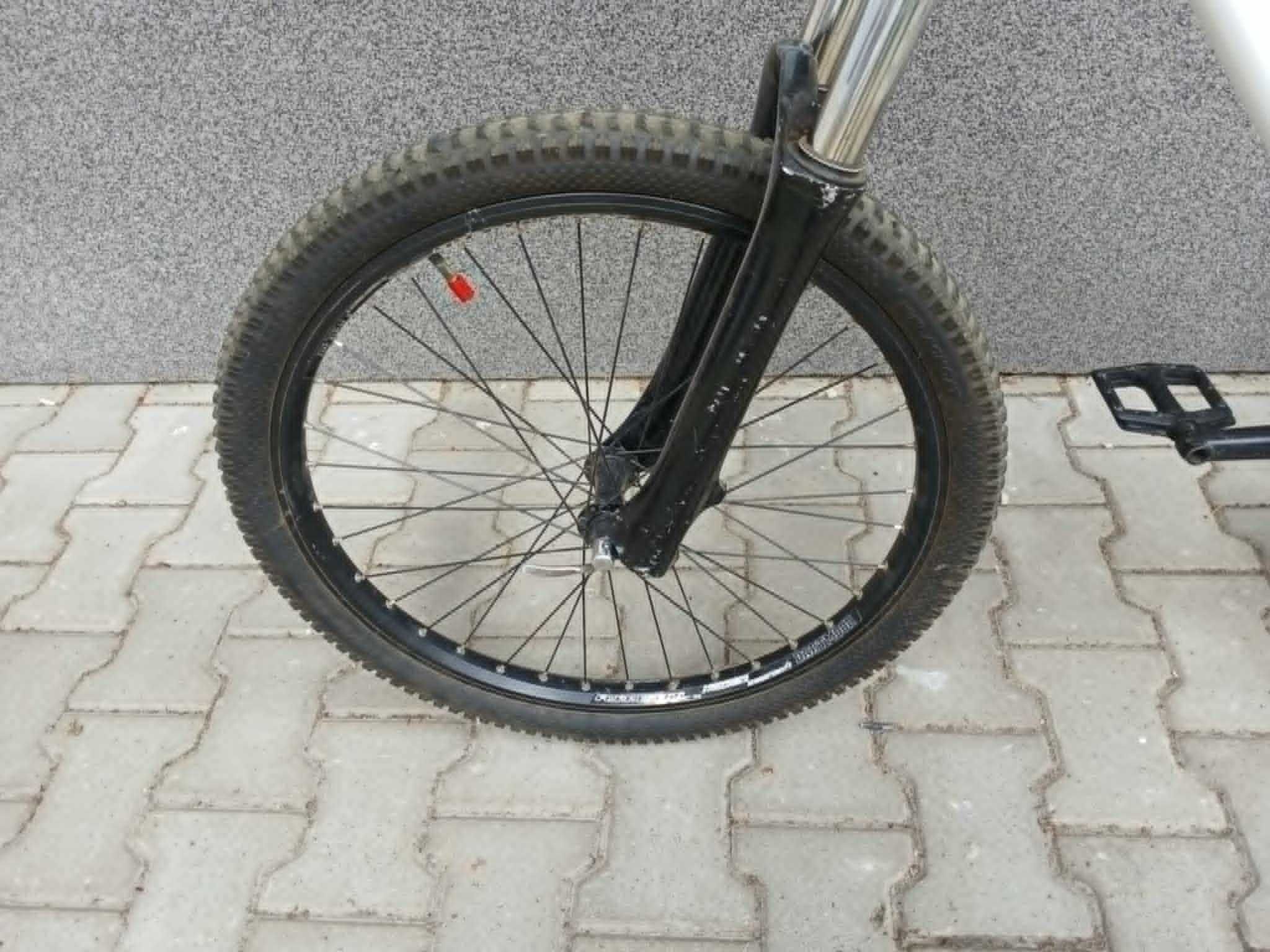Rower Dirt MTB 24