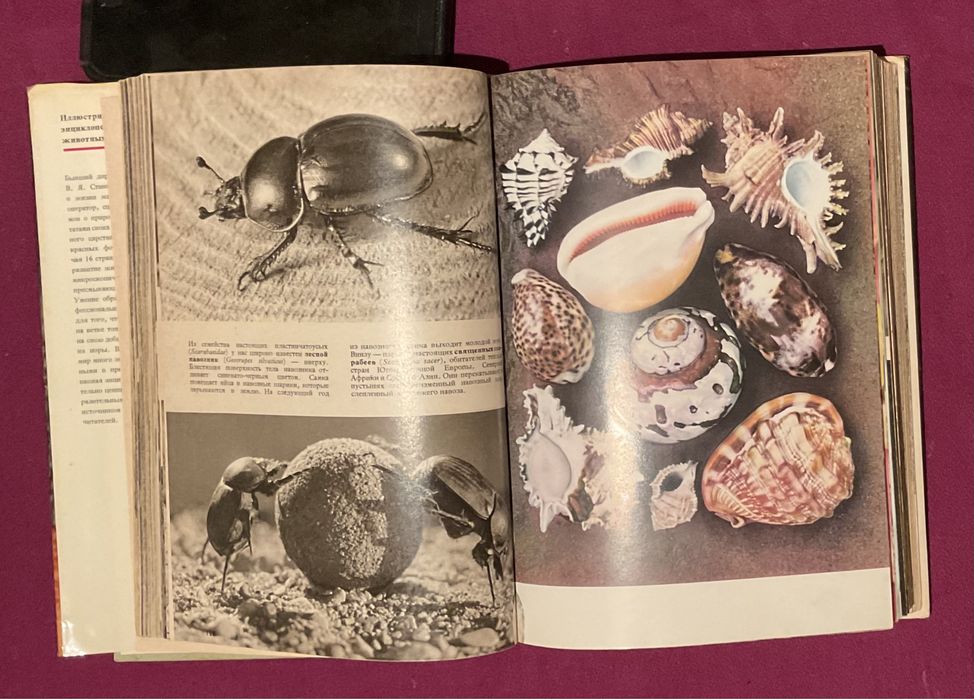 Книги о животных