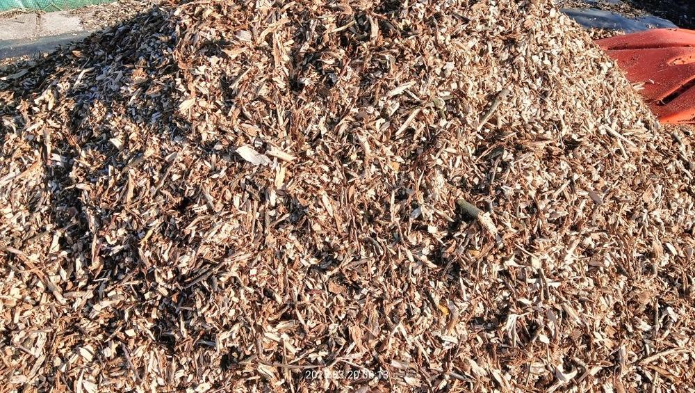 Zrębka Zrębki Za Darmo