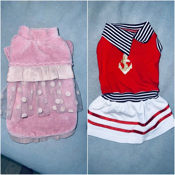 Одежда для собак is pet fashion на размер XS S M комбинезон куртка