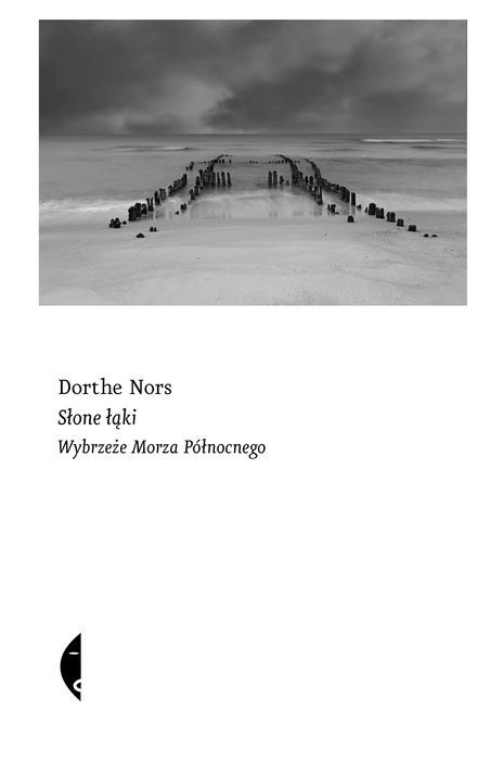 Słone łąki. Wybrzeże Morza Północnego. Czarne
