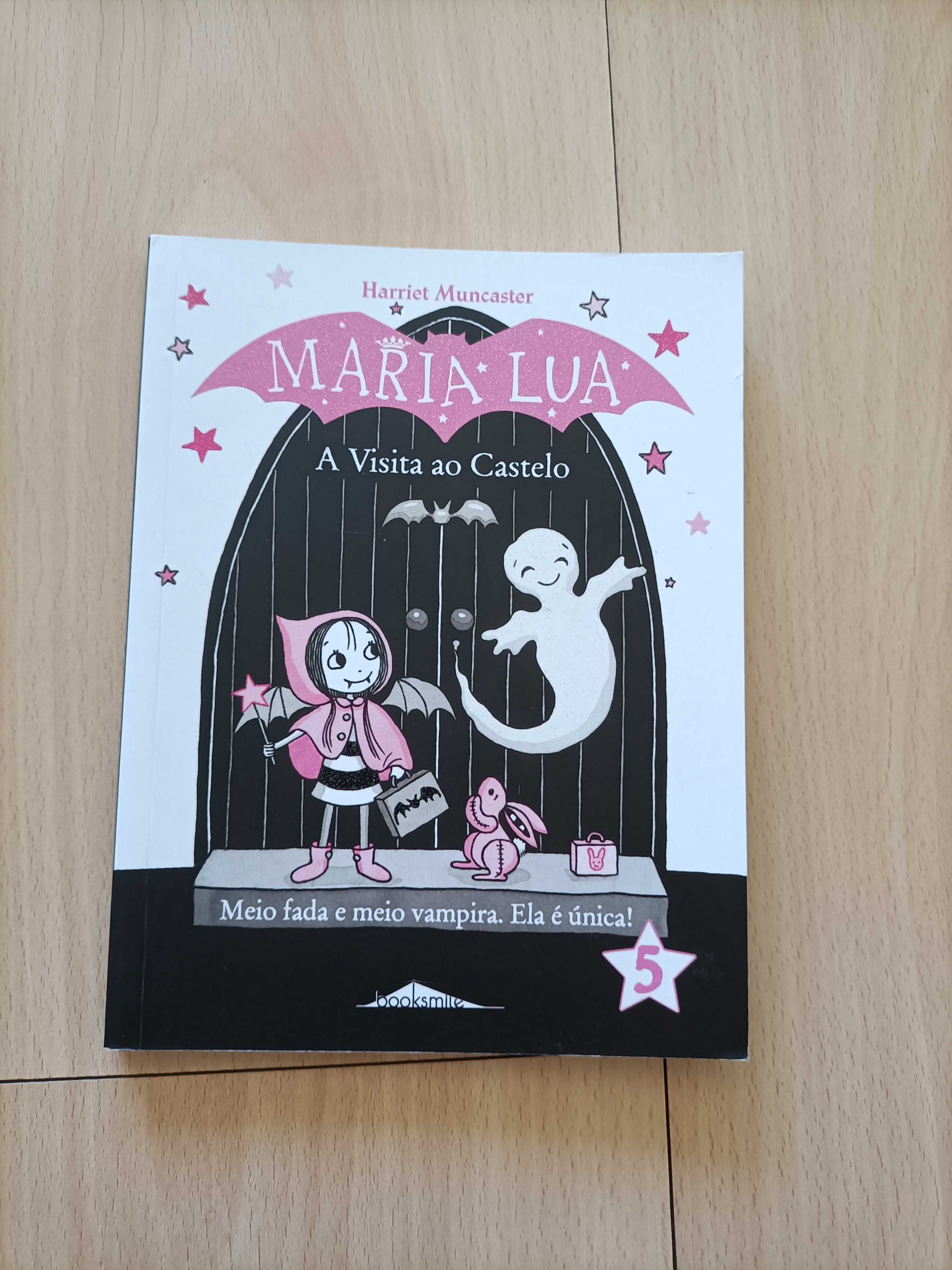 Livro-o a visita ao castelo