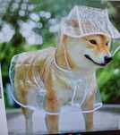 Capa de chuva para animais