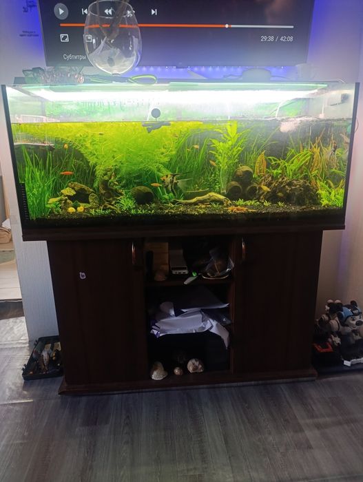 Продам аквариум на 240 литров