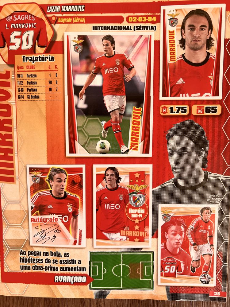 Caderneta cromos SL BENFICA 2013-14