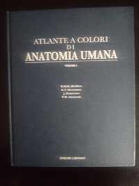 Atlante A Colori Di Anatomia Umana - volume 4