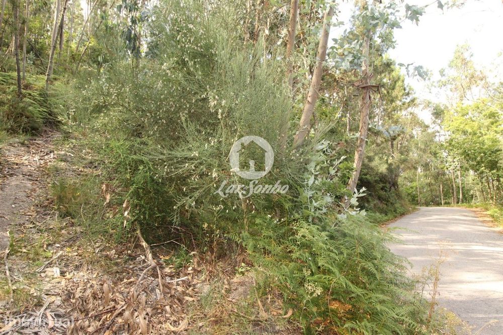 Terreno Celorico de Basto-Borba da Montanha