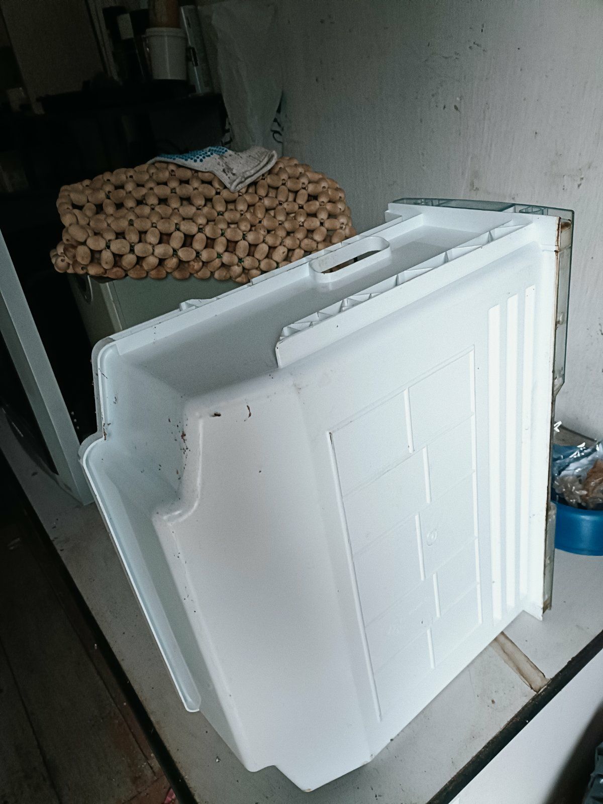 ящик для овочів,отсек для овощей холодильнику Beko