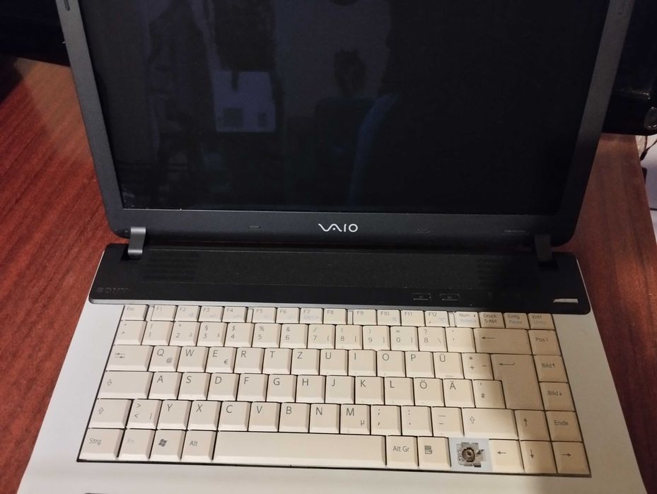 Ноутбук Sony Vaio VGN-FS315M