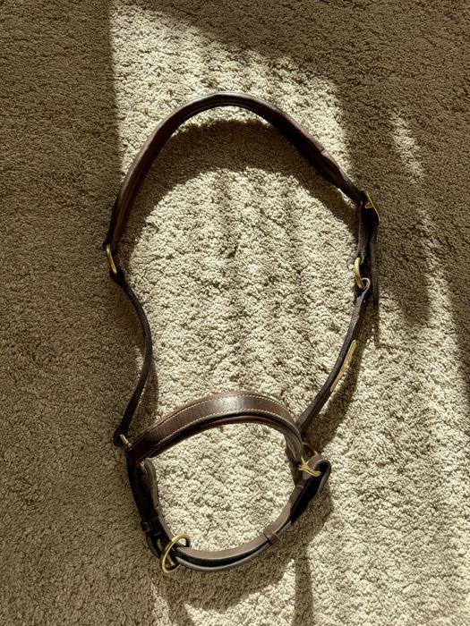 Skórzany grooming kantar Norton