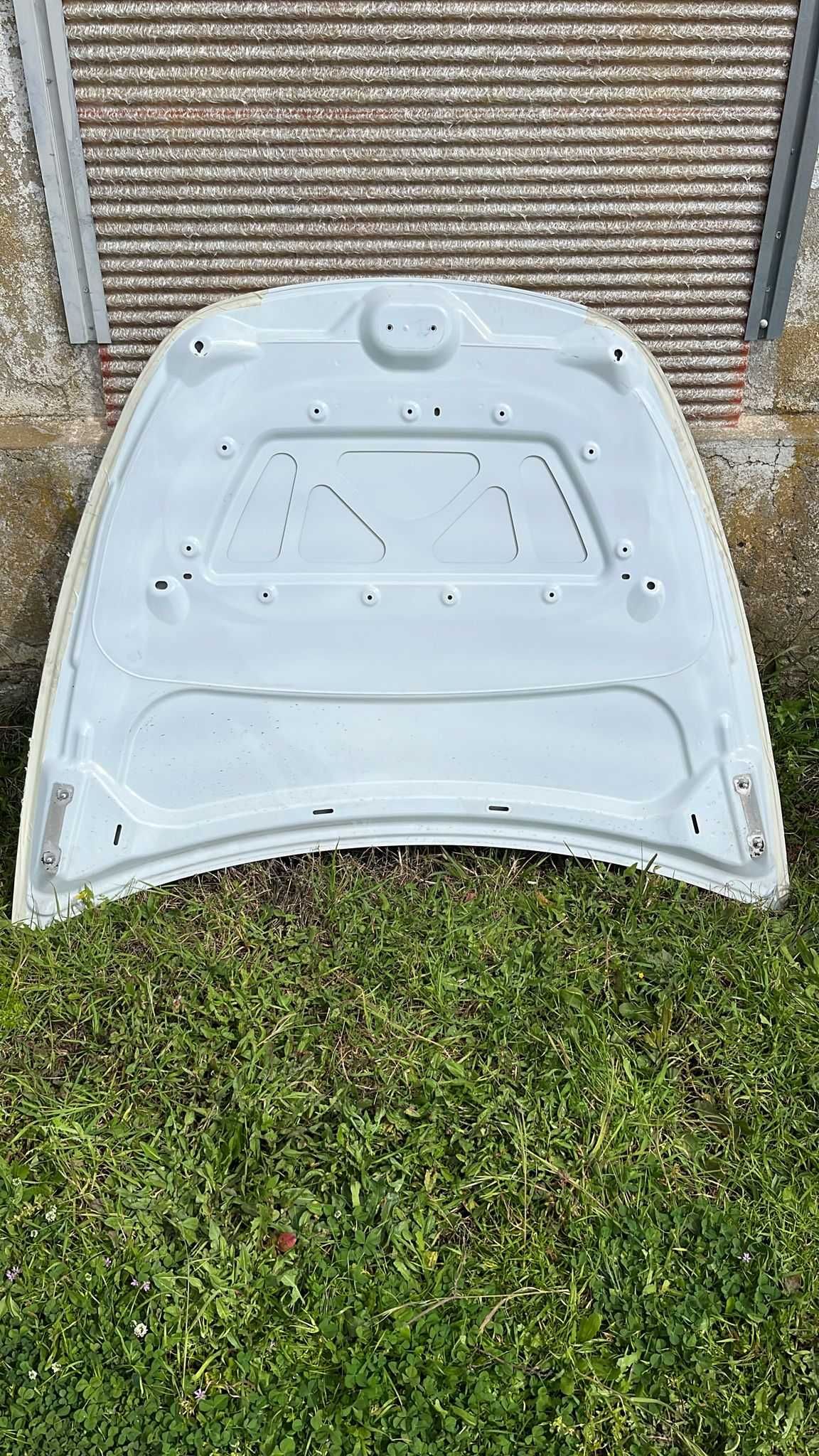 Capot TESLA MODEL 3 (5YJ3) EV AWD