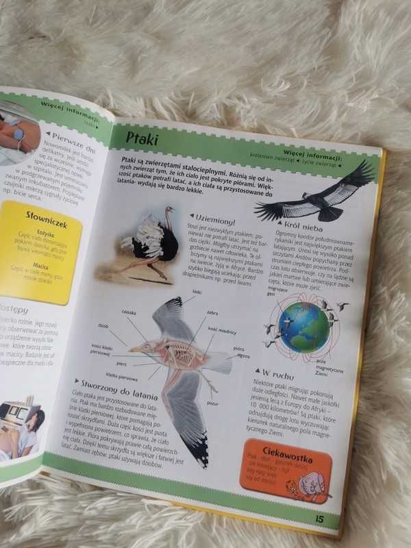 Moja pierwsza encyklopedia nauki