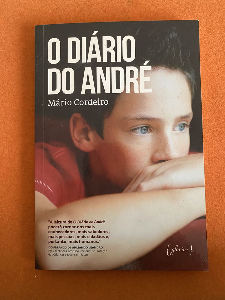 Livro- O Diário do André