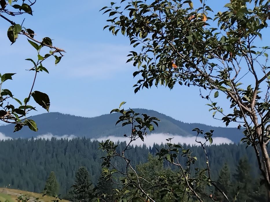 Відпочинок у Карпатах. Котедж "Під лісом".