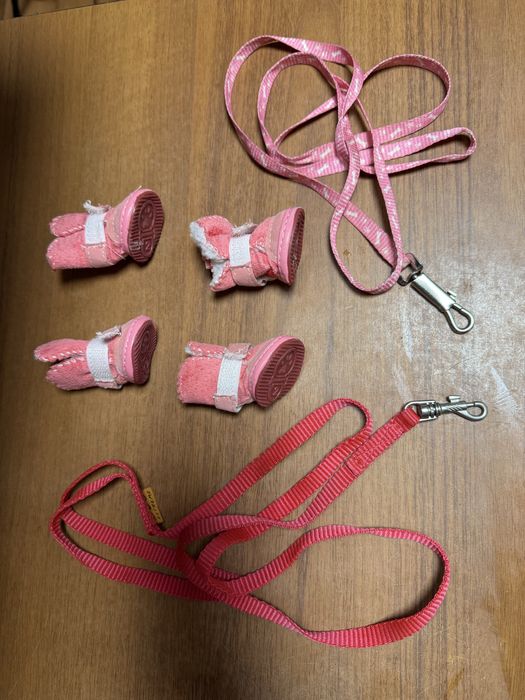 Взуття для чіхуахуа + 2 повадки в подарунок