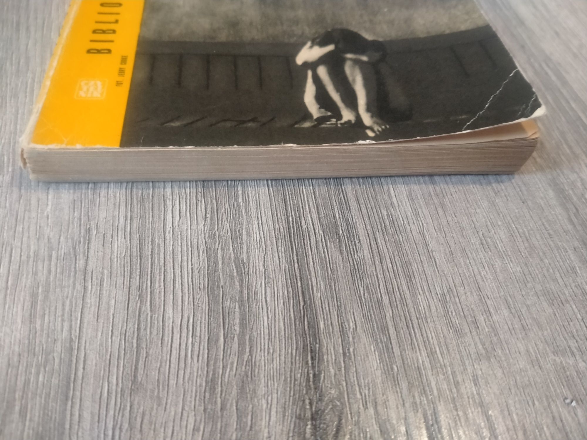Pola Gojawiczyńska Krata