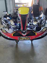 Karting CRG 125 TM Shifter