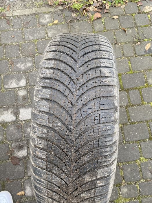 Goodyear 225 / 65 R 17 wielosezon